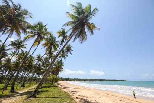 Praia de Garapuá em Morro de São Paulo.
