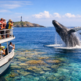 Barco com turistas observando baleias jubarte próximo a recifes de Abrolhos, Bahia